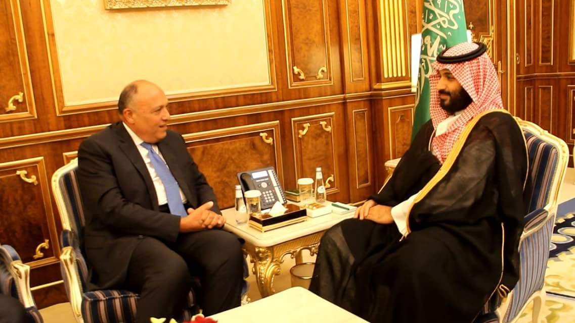 شكرى يلتقى محمد بن سلمان والجبير في ختام جولته العربية  (تقرير)