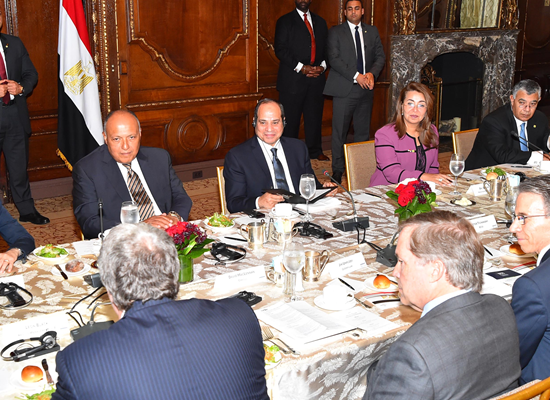 السيسى يتناول الغداء مع أعضاء غرفة التجارة الأمريكية (تقرير)