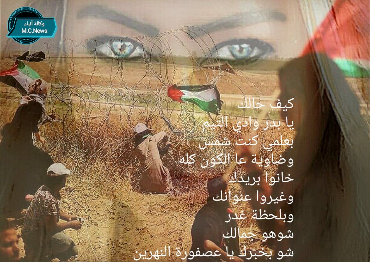 زيزي ضاهر تكتب: كيف حالك يا بنت وادي الضيم؟