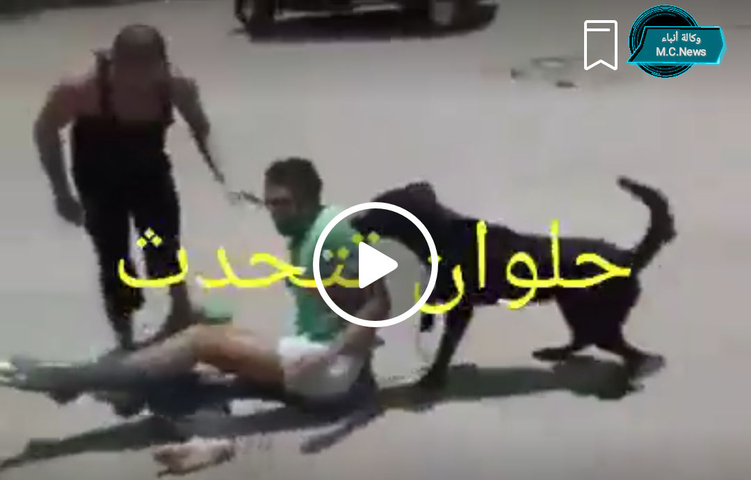 الأمن يلقي القبض علي أصحاب فيديو احتجاز شاب وتعذيبه بالكلاب بحلوان