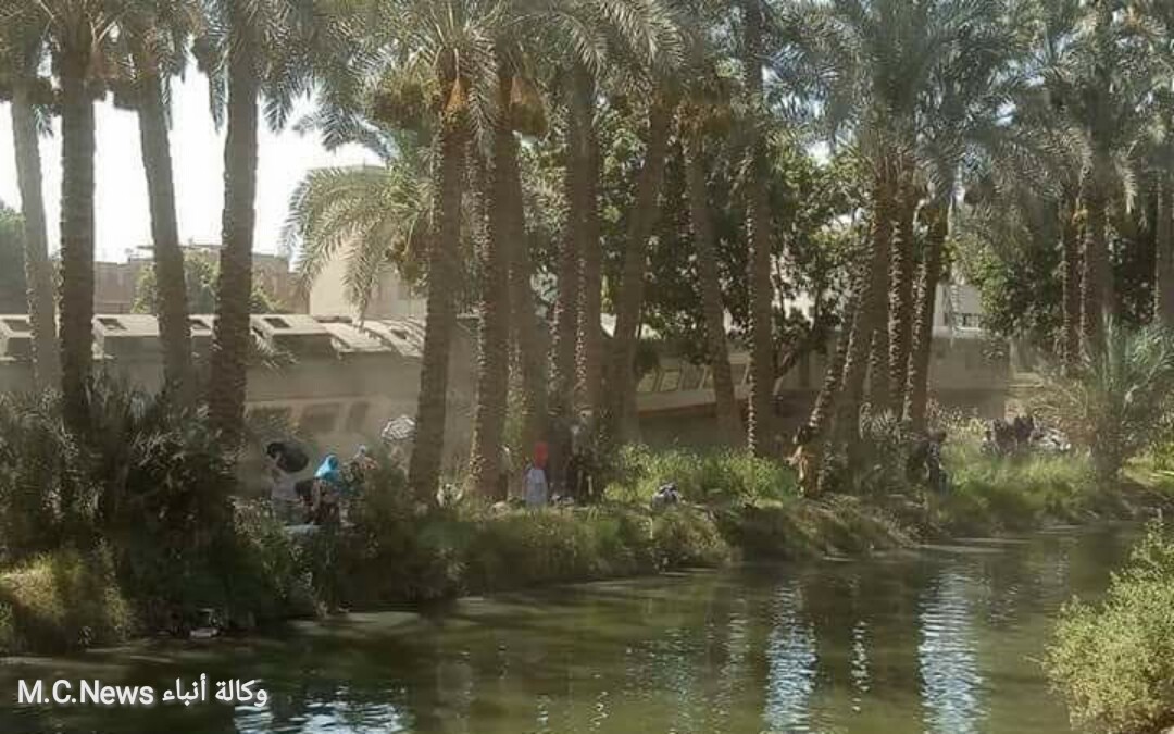 النخل كان العناية الإلهية لمنع وقوع كارثة لركاب قطار البدرشين .. كيف نجا الركاب من الموت؟