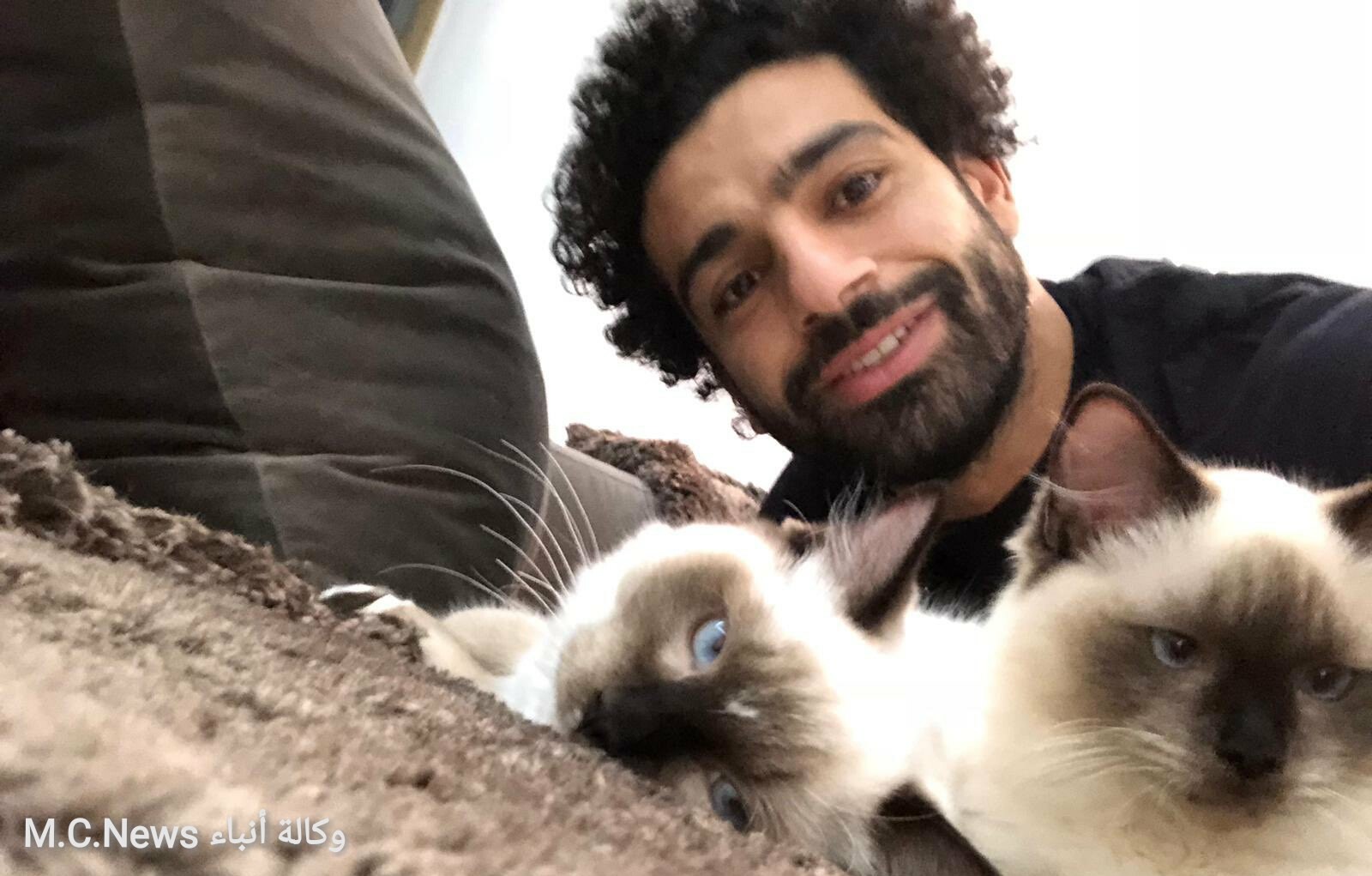 ماذا قال محمد صلاح عقب إعلان المتحدث الرسمي لوزارة الزراعة عن تصدير القطط والكلاب؟