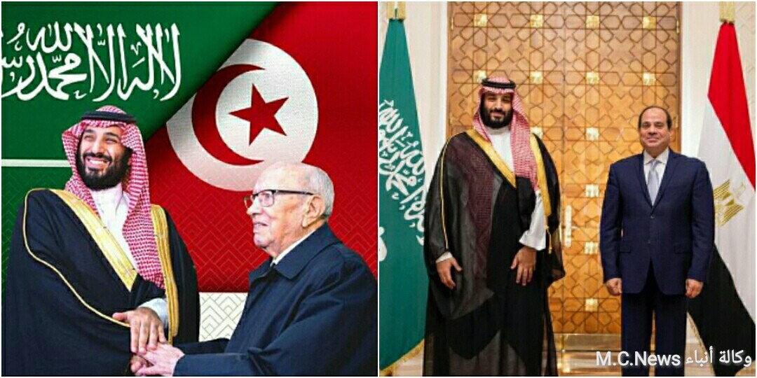 الأمير محمد بن سلمان يبعث برسالة شكر للرئيسان السيسي والسبسي