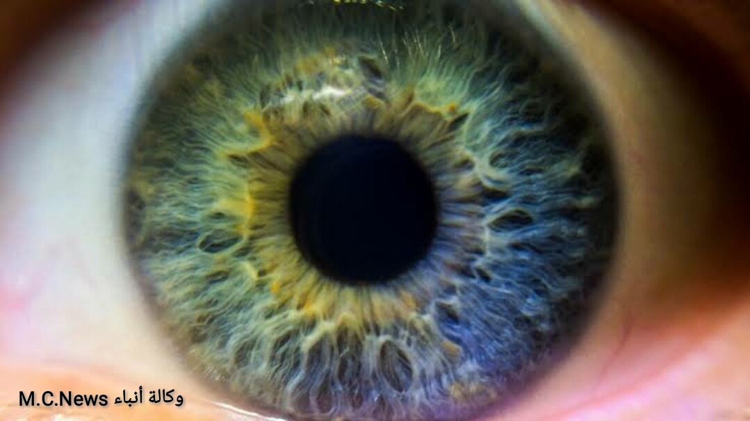 الخبير يكتب: هل يأتي اليوم وتستخدم بمصر القزحية كوسيلة تأمينية «Iris» أين هى؟ وما هي؟