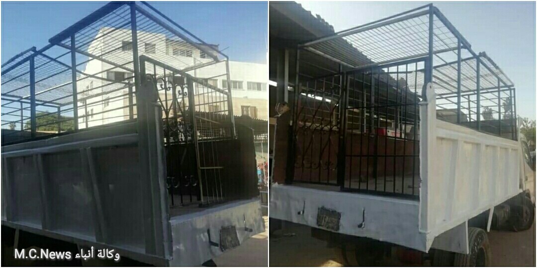 نشطاء الرفق بالحيوان يحذرون من مذبحة سوف يرتكبها حي السيدة زينب ضد الكلاب المسالمة