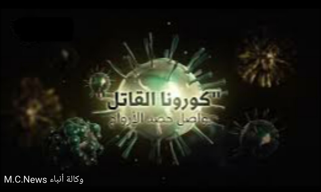 ما سر مطالبة المواطنين البقاء فى المنازل 14 يوم؟ وماذا سيحدث إن لم يكتشف علاج لكورونا؟  (تقرير)